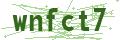 Magnetic traps iron Captcha Code